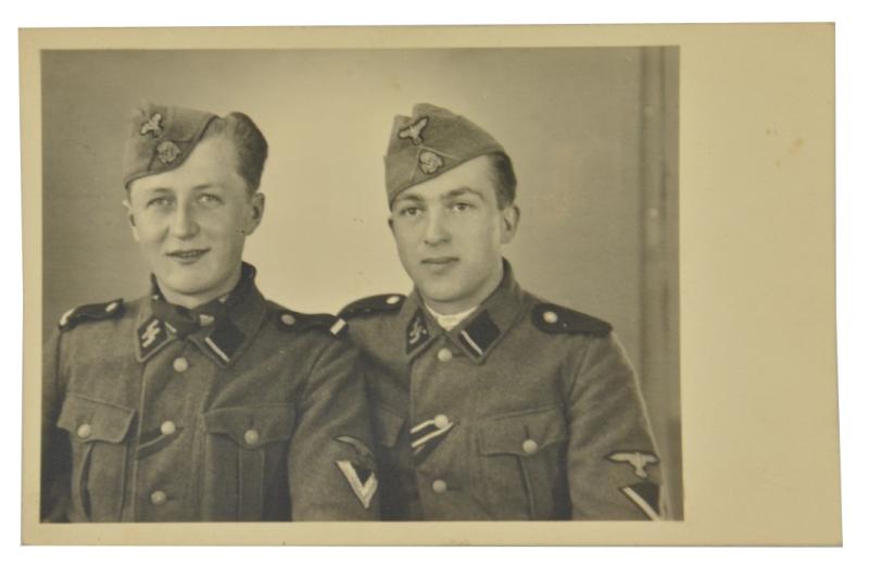 German Waffen-SS Brothers Picture
