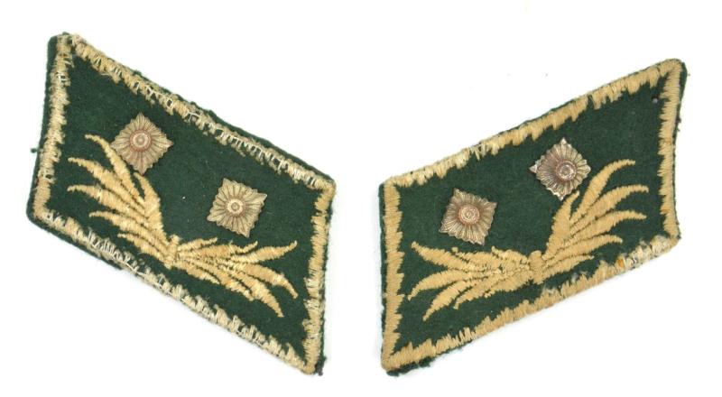 German WW2 Customs Secretary Collar Tab Set