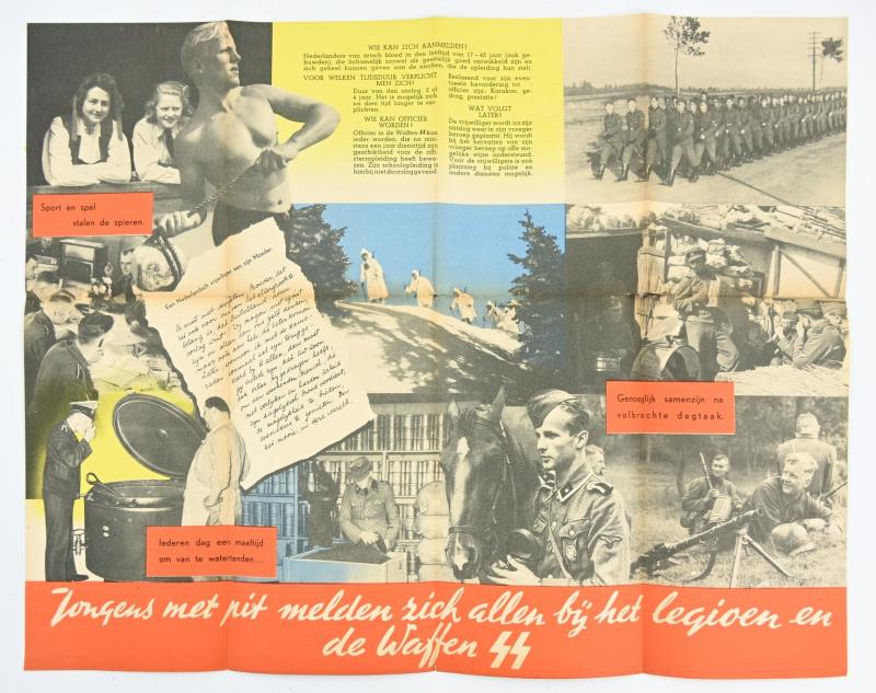 WorldWarCollectibles | German Dutch Waffen-SS Recruitment Flyer