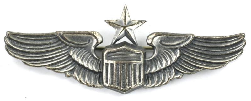 USAAF Sterling Senior Pilot Wing 'Vanguard N.Y.'