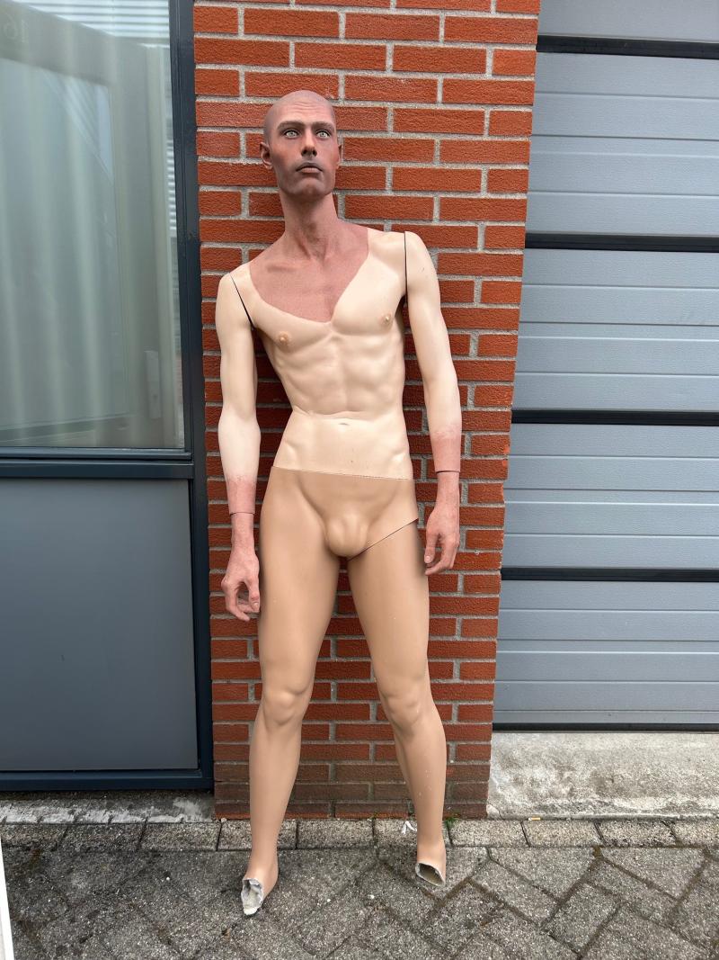 Stunning Painted Male Mannequin