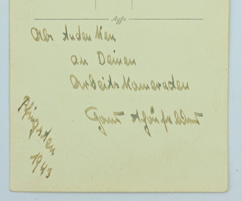 German Waffen-SS Totenkopf Division Portrait picture