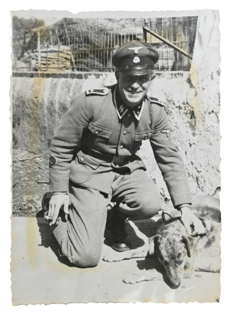 German Waffen-SS Picture SS-Oberscharführer with Dog