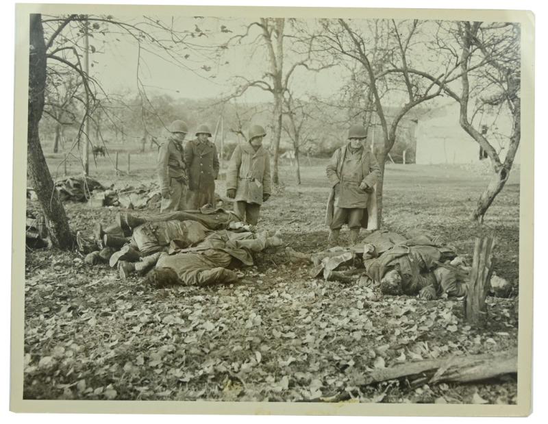 US WW2 Press Photo 'Apple Orchard'