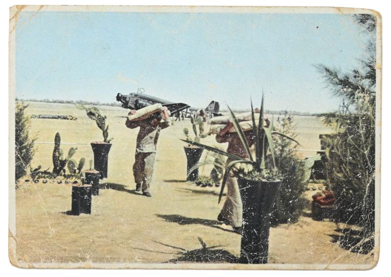 German LW Postcard 'Junkers JU-52 in Afrika'