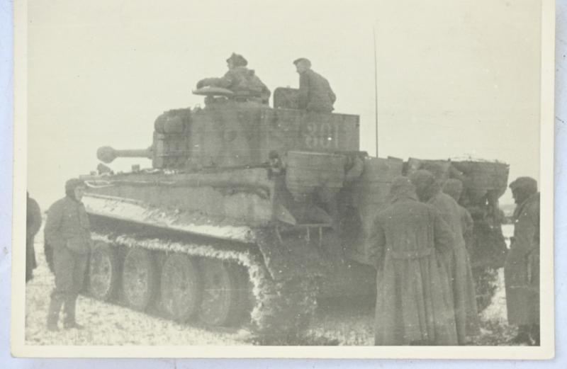 German Waffen-SS Tiger 1 Picture 'Eastern Front'