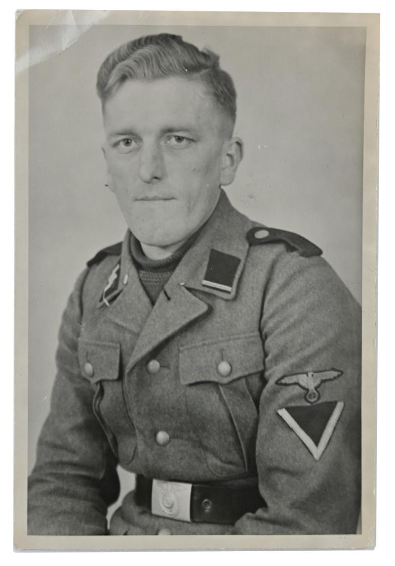 German Waffen-SS Portrait Picture