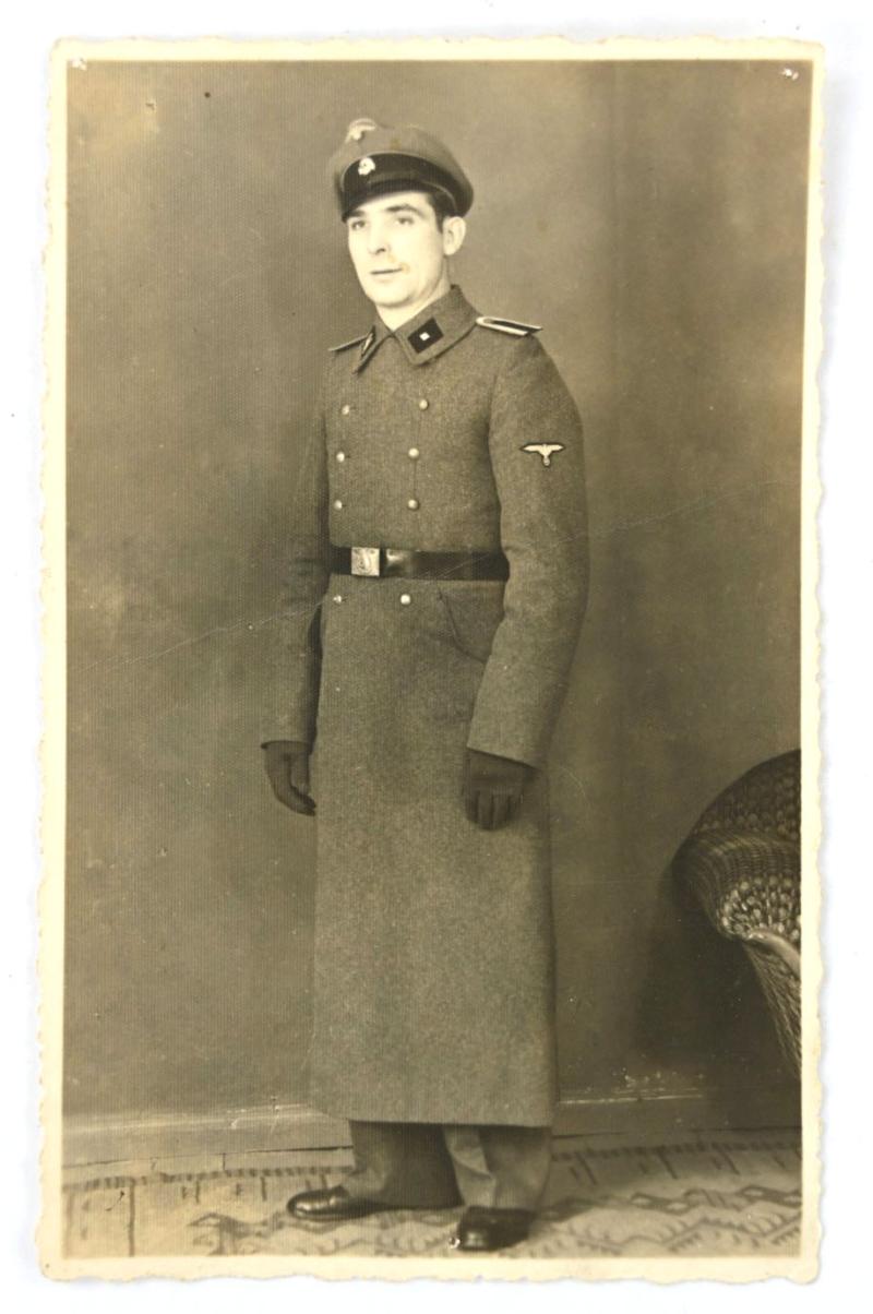 German Waffen-SS Portrait Picture