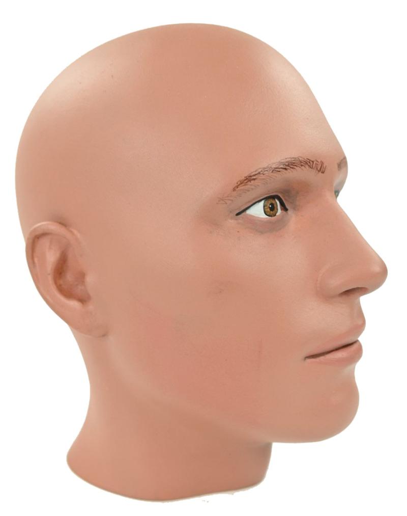 Painted Male Mannequin Head