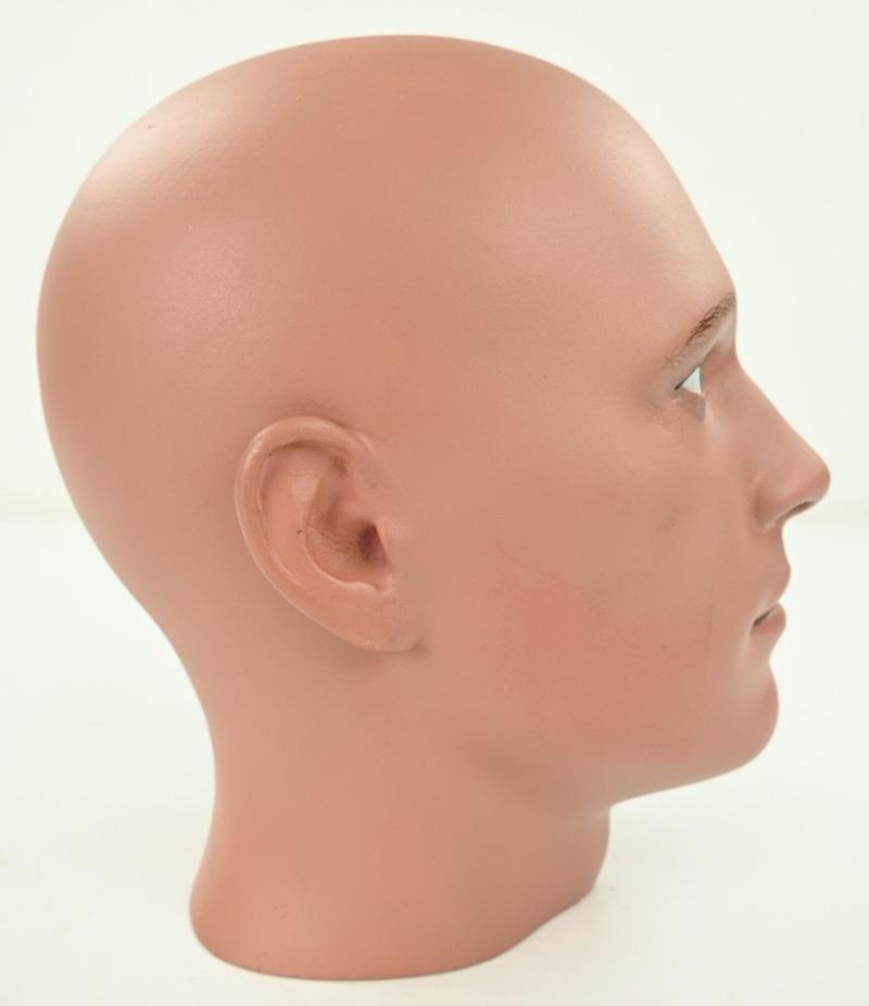Painted Male Mannequin Head