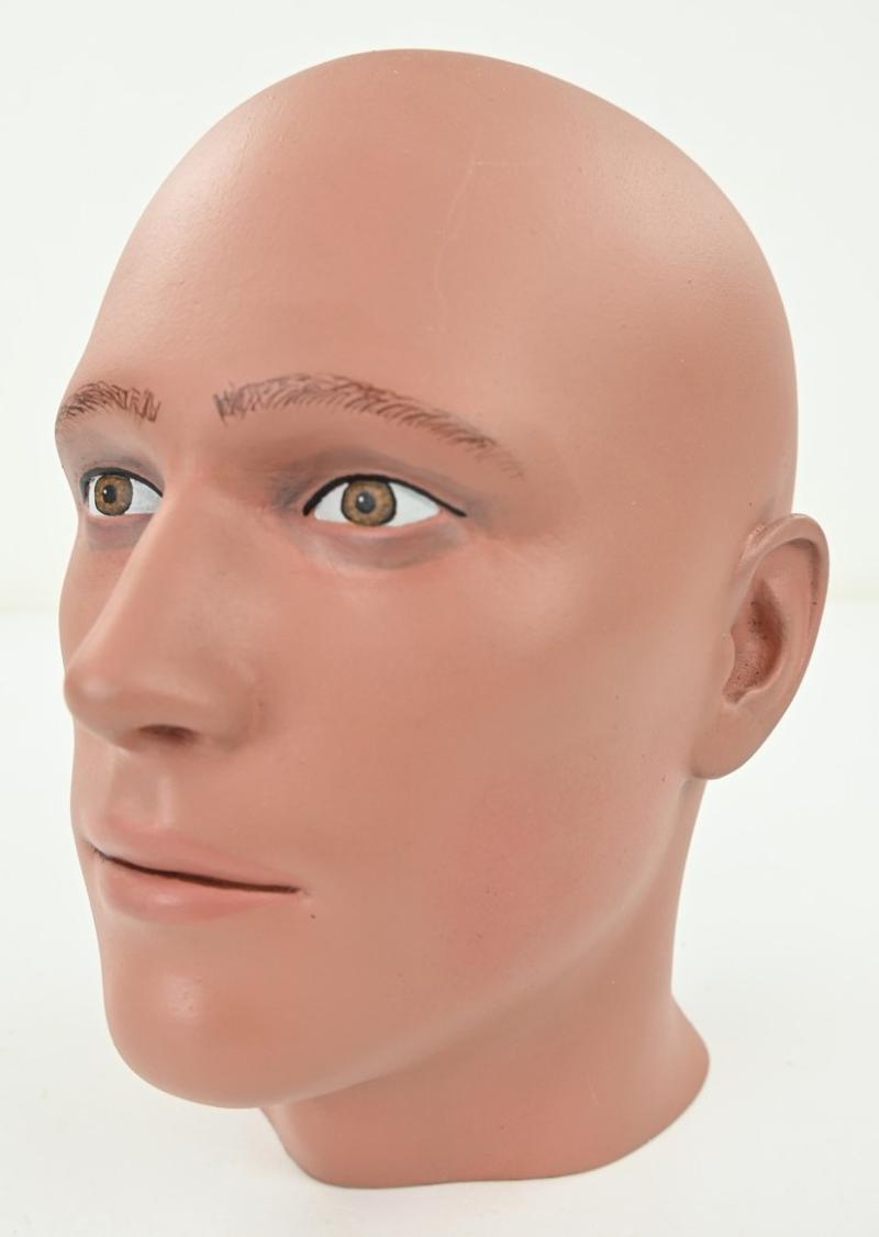 Painted Male Mannequin Head