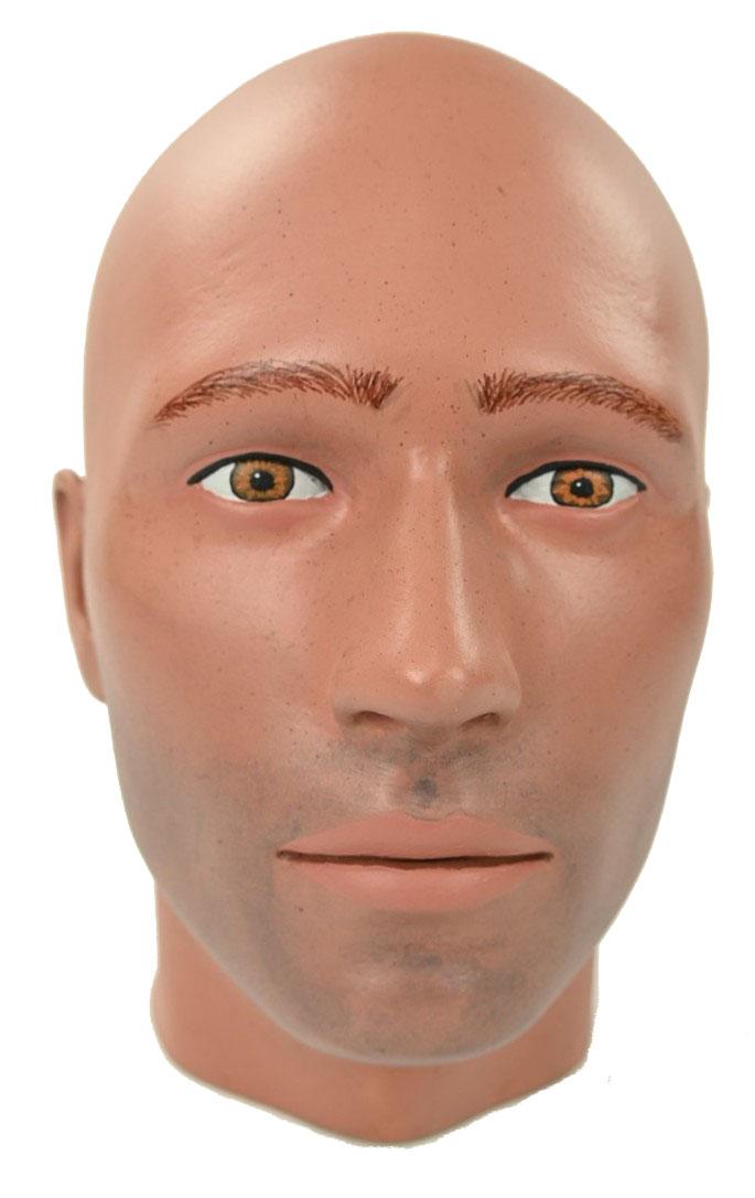 Painted Male Mannequin Head