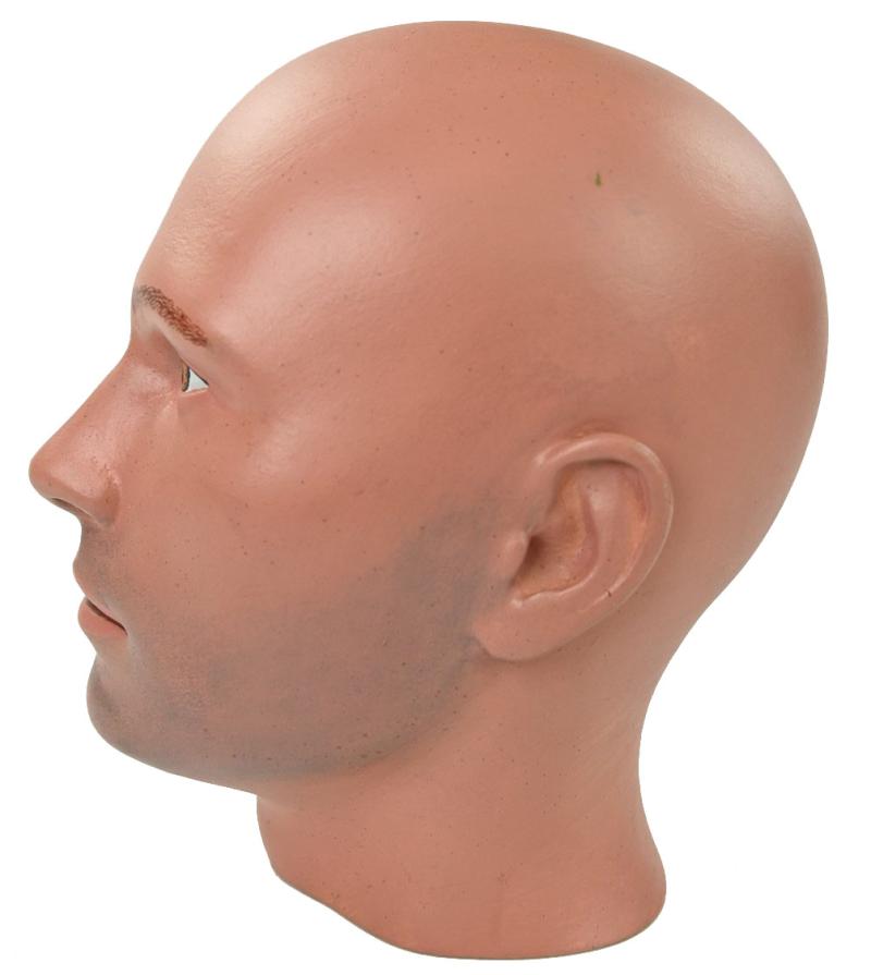 Painted Male Mannequin Head